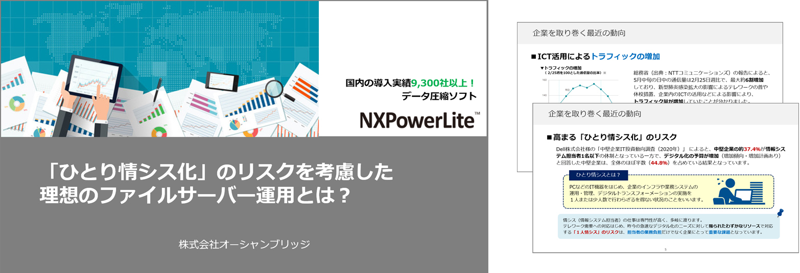 「ひとり情シス化」のリスクを考慮した理想のファイルサーバー運用とは？