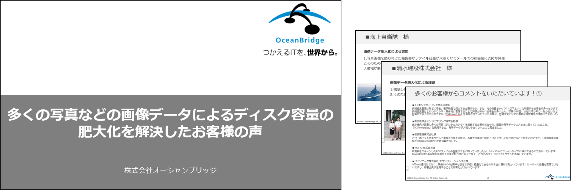 多くの写真などの画像データによるディスク容量の肥大化を解決したお客様の声